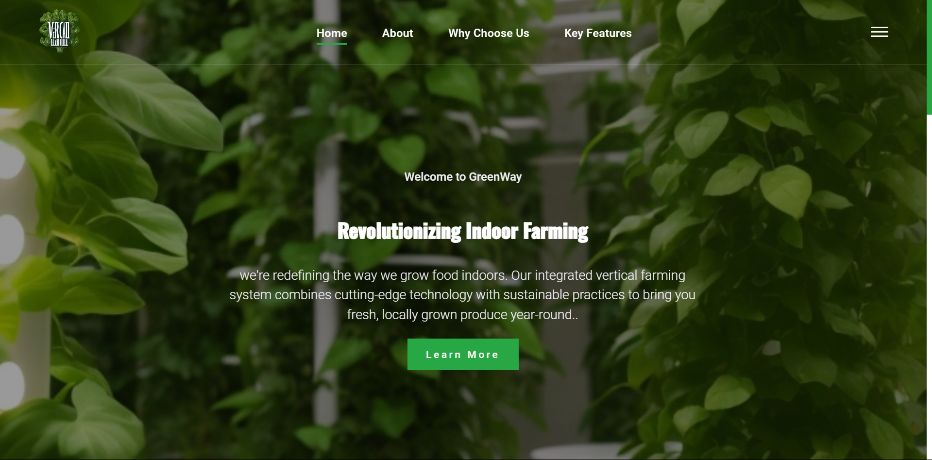 Gayathri web Developer Portfolio